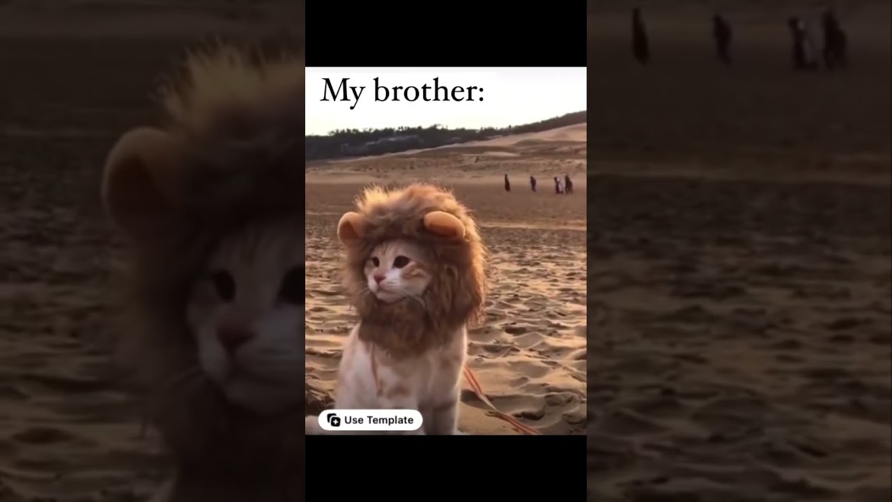 My brother🙂 #shorts #ytshort #trending #viral #comedy #funny #memes #love #brother #sister  #funny