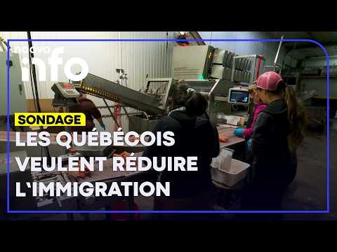 La majorité des Québécois veulent réduire les seuils d’immigration, révèle un sondage