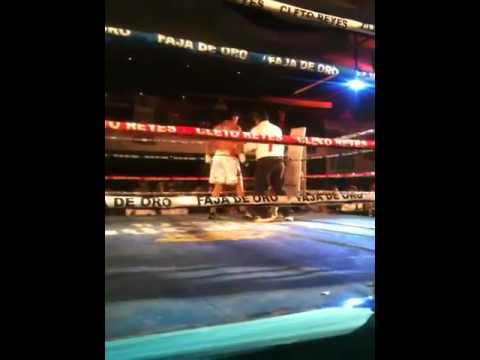 El negro pelea tamaulipas