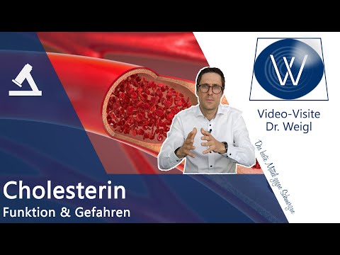 Cholesterin HDL & LDL - Kein Gift aber lebensnotwendig und trotzdem gefährlich: Hypercholesterinämie