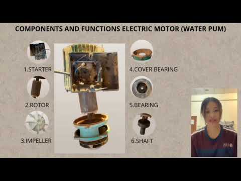 GROUP 5 (HG35) - RT20603 INTRODUCTION TO AGRICULTURAL ENGINEERING PRACTICAL WORK 3: ELECTRIC MOTOR