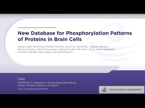 KANPHOS Platform - A comprehensive database for kinase-associated neural phosphorylation signaling -