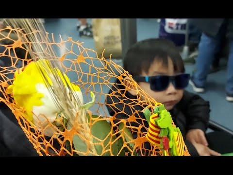 LOVE AND CULTURE | DIA DE SANT JORDI IN BARCELONA