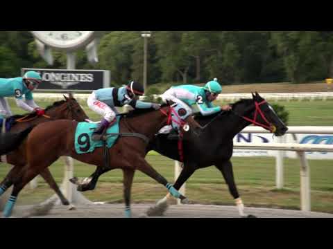 211211 c08 BAJO AMENAZA