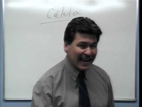 508 GRUPOS PEQUEÑOS Video   2    de   12