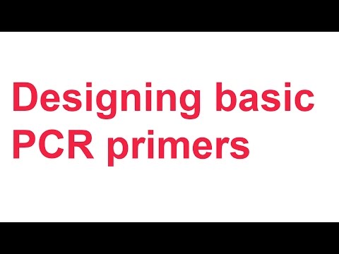 Tutorial 1: Designing basic PCR primers