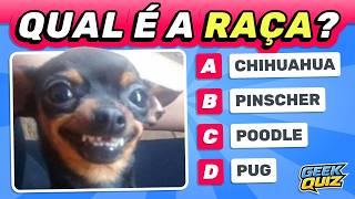 🐶 QUAL É A RAÇA DO CACHORRO? 🐾 Teste seus conhecimentos 🐕 #geekquiz