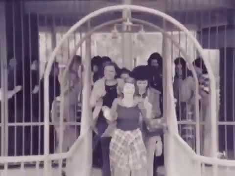 Zdravko Colic i Kemal Monteno - Dome moj (Official Video 1974)