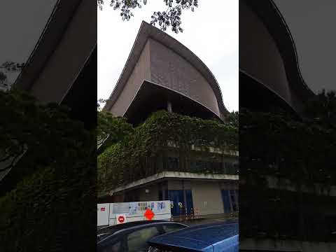 TUM TUM . GREENERY SINGAPORE / SINGAPORE NATURE #shortvideo  #viral #youtubeshorts