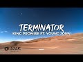 King Promise Ft Young Jonn Terminator Lyrics Video