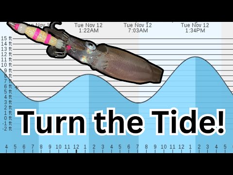 Squid Fishing | Best Tides, Weather, & Locations for Puget Sound