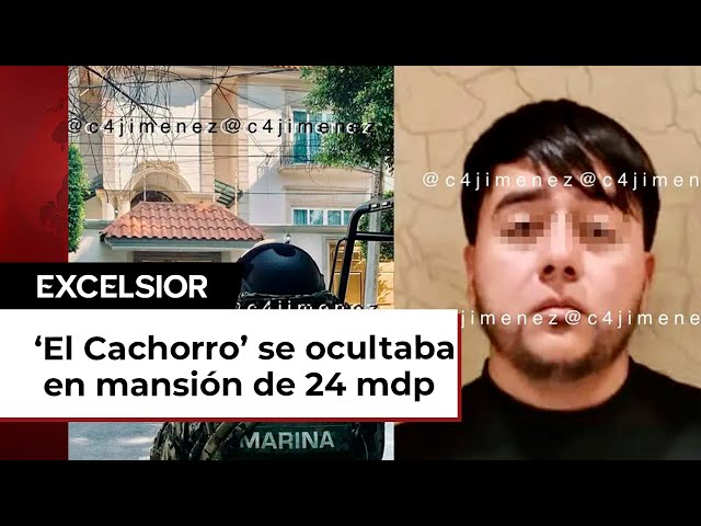 Hallan nueva fábrica de 'monstruos' del Fabián, El Cachorro y Luis 'N ...