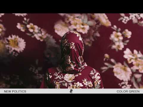 New Politics - Color Green (Audio)