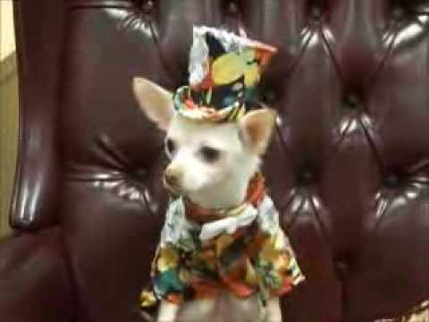 Kimba at a Radio Station wearing Anthony Rubio Designs