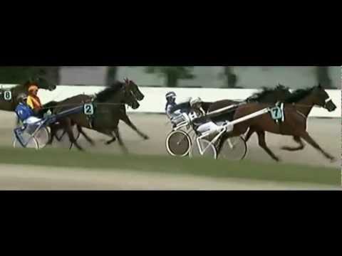 Deutsches Traber St.Leger 2012_Stuten_Georgina Corner 1:17,1_Thorsten Tietz