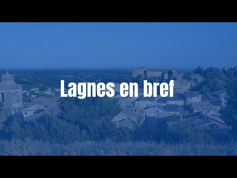 Video vignette