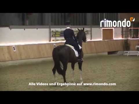 Callaho's Benicio Late Entry Südlohn 2015