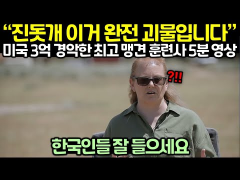 “진돗개 이거 완전 괴물입니다” 미국 3억 경악한 최고 맹견 훈련사 5분 영상