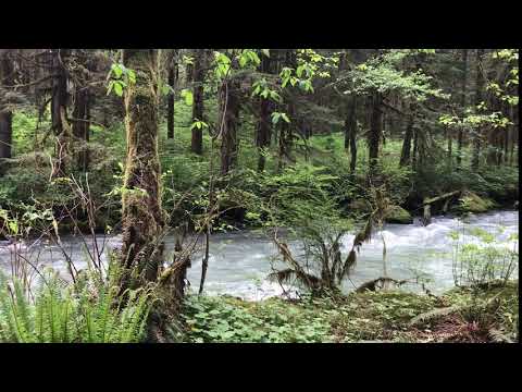 This small river was directly behind our tent camping space.