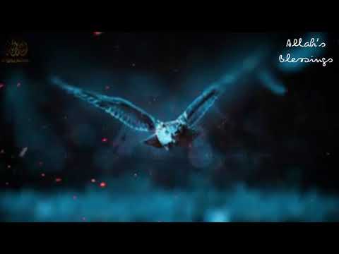 Surah Al Muzammil beautiful  recitation by Abdullah  Humeid must watch