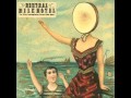 Neutral Milk Hotel - In The Aeroplane Over The Sea ...