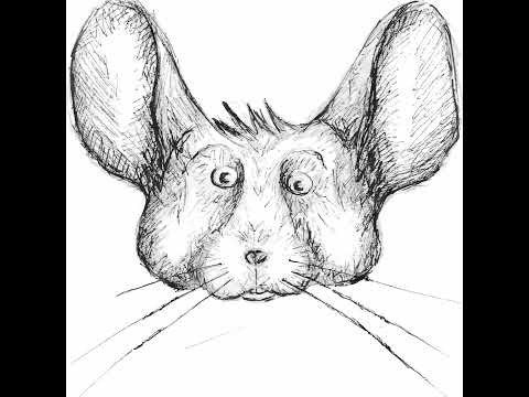 Johannes Schickling of Graphcool, The GraphQL Backend