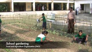 UN Joint Project in Bangladesh