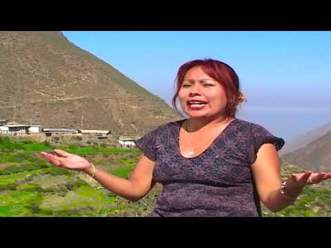 SENOR CANTINERO - AMAPOLITA DE ARAHUAY HD