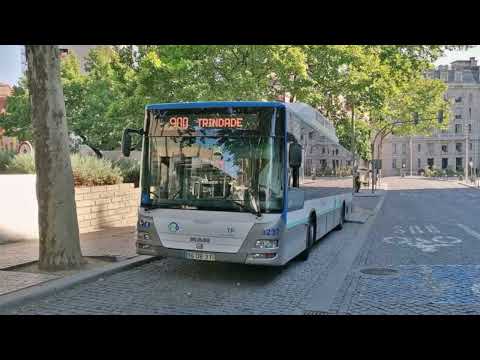 STCP 3237 (audio recording - collab) Part II