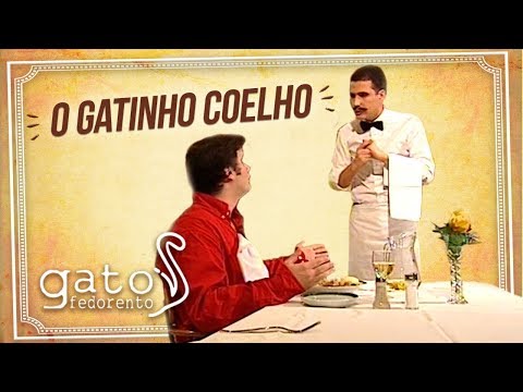 Gato Fedorento - O gatinh... o coelho
