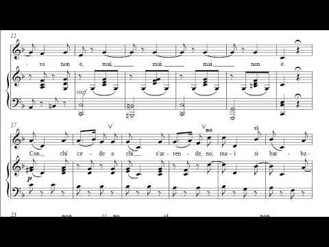 NEL CONTRASTO AMOR - Barítono - VACCAJ