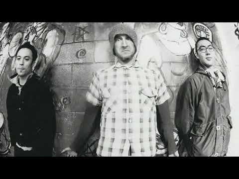 Regurgitator Live at the Wireless 1995  - 2. 'Social Disaster'