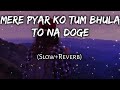 Mere Pyar Ko Tum Bhula To Na Doge Slow Reverb Hindi Sad Song Use Headphone