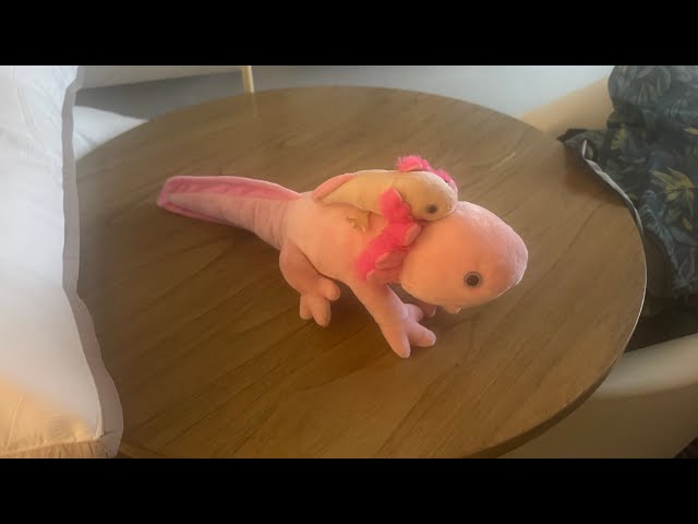 Vídeo relacionado con Wild Republic Mysteries of Atlantis Mermaid Astra, Animales de Peluche, 51 cm, Regalo Recién Nacido, Peluches para Niños, Peluches para Niñas, Relleno Elaborado con Botellas Recicladas