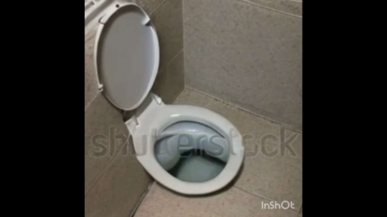 Toilet flushing (text to image) #modelscope