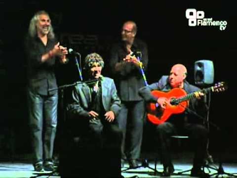 JOSE DE LOS CAMARONES - Alegrias - IV Viernes Flamenco 2013