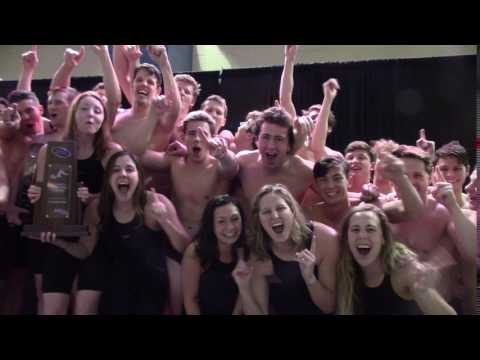 2017 SAA Champions BSC Panthers