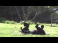 Pencak Silat - The Fighting Arts of Indonesia - YouTube
