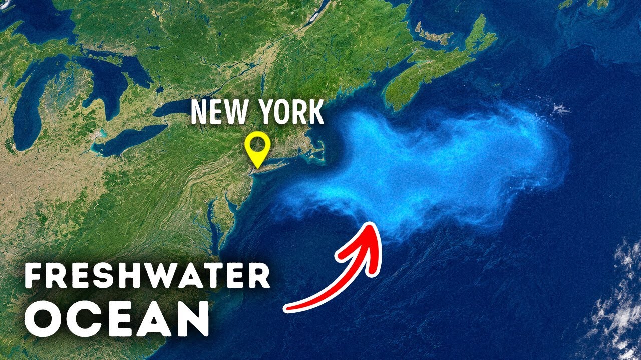 Atlantic Was Hiding Something Huge Near the US Coast