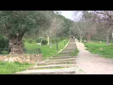 download lagu mp3 mp4 Multifuse Journey To The Nesting Place 2008, download mp3 Multifuse Journey To The Nesting Place 2008 free download mp3, download mp3 Multifuse Journey To The Nesting Place 2008