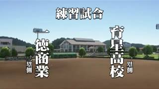 プロ野球スピリッツ2019　甲子園スピリッツ　パワーS