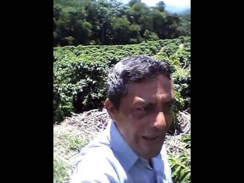 Pastor Laudelino soares na Lavouras de café vale apena ver!