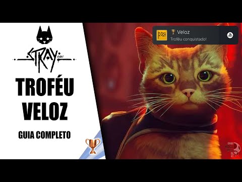 STRAY - TROFÉU VELOZ | RUN 01:46:07 (GUIA COMPLETO COM ROTAS E DICAS)