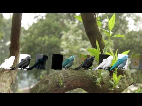 Breakdown Integration CGI