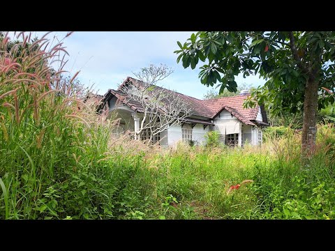 15 Years Abandoned — We Revived This Villa in Just 10 Days (Full Transformation)