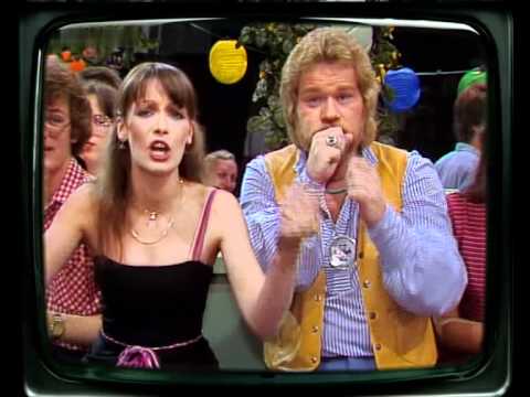 Diverse Interpreten - Medley Stimmungs-Schlager 1982