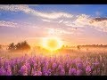 GOOD MORNING MUSIC 528Hz Positive Energy Soothing Beautiful Deep Morning Boost Meditation Music