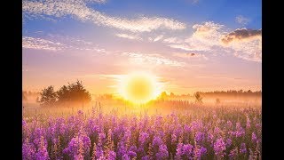 GOOD MORNING MUSIC ➤ 528Hz Positive Energy ➤ Soothing Beautiful Deep Morning Boost Meditation Music