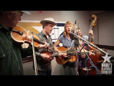 Foghorn Stringband - You Didn't Have To Go [Live at WAMU's Bluegrass Country]