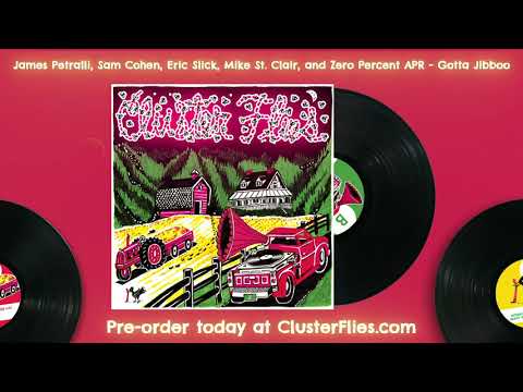 Cluster Flies: James Petralli - "Gotta Jibboo"